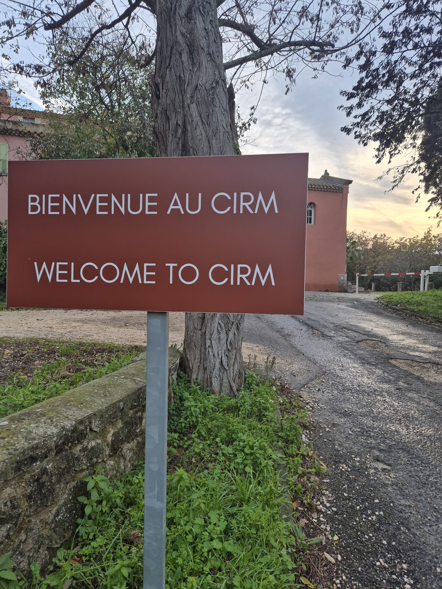 Description of the image